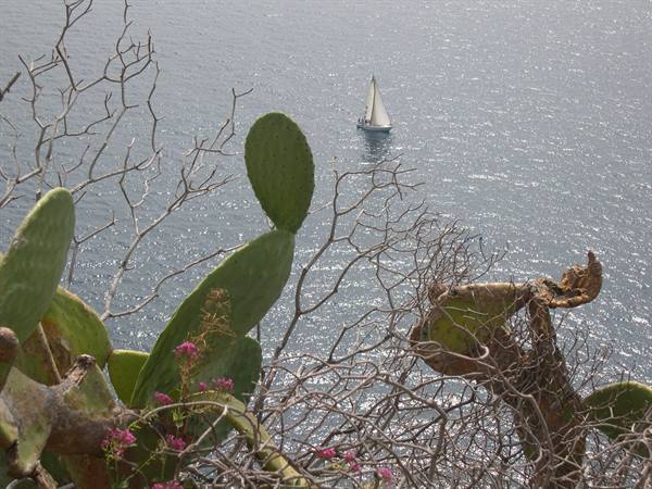 BARCA A VELA DAVANTI LA COSTA