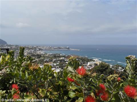 FORIO D'ISCHIA