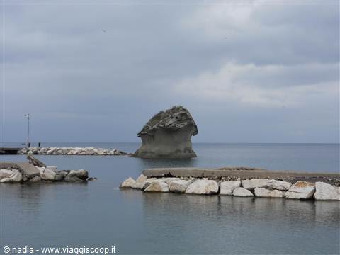 LACCO AMENO - IL FUNGO