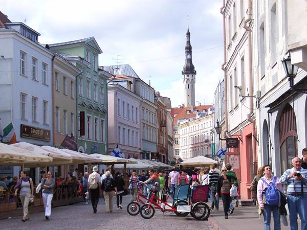 ESTONIA - TALLIN - CITTA' BASSA