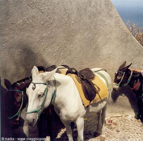 SANTORINI - DISCESA