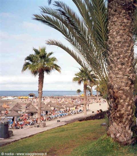 CANARIE-TENERIFE