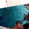IMMERSIONE ANTIGUA E BARBUDA 