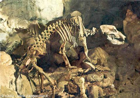 GROTTA DI BARENHOHLE