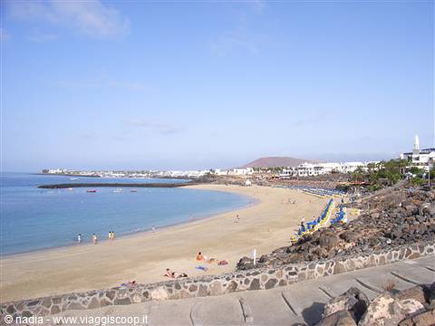 CANARIE - LANZAROTE