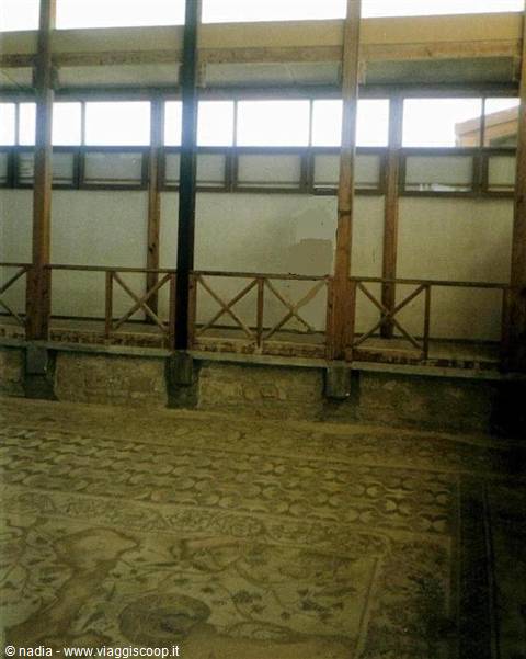 CASA DIONISO