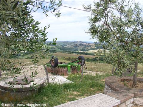 TOSCANA- VAL D'ORCIA