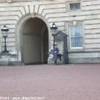 Una guardia a Buckingam Palace REGNO UNITO 