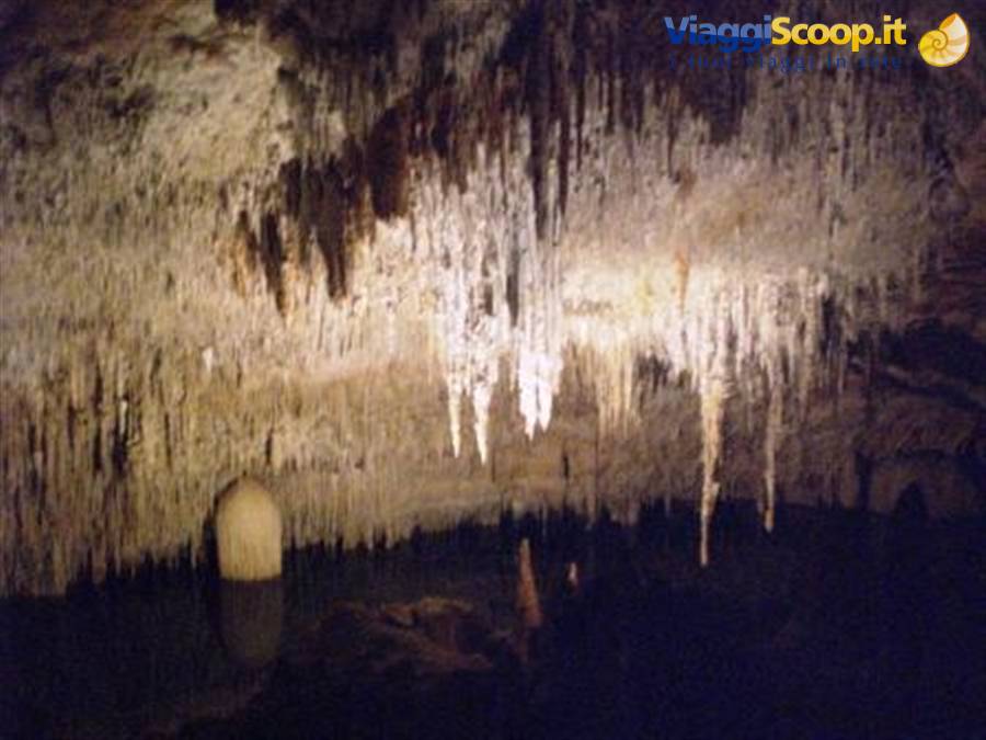 Cueves del drach