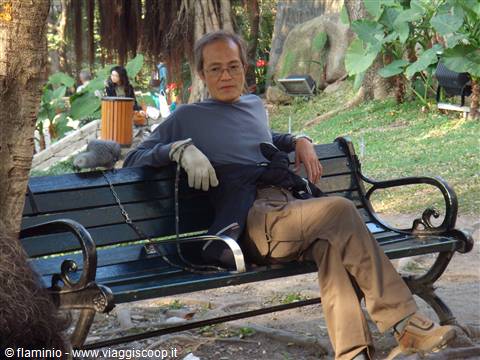 Al parco con il pappagallo a passeggio...