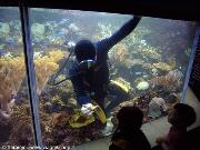 Singapore - Ocean Park