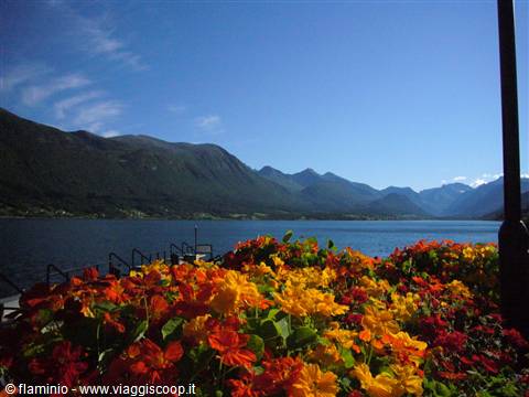 Norvegia