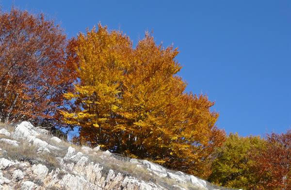 Autunno in Abruzzo