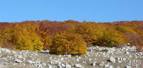 Autunno in Abruzzo