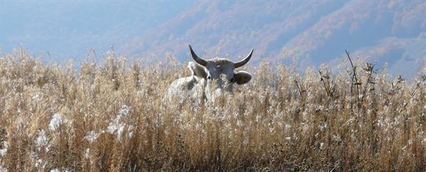 Autunno in Abruzzo