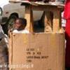 Bambino......incartonato SUD AFRICA 