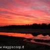 tramonto al Kruger SUD AFRICA 