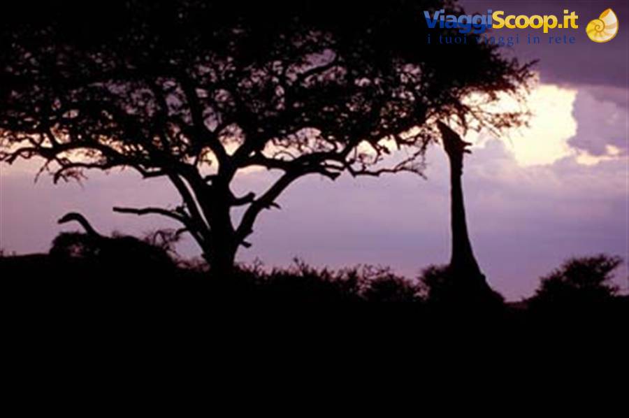Foto di viaggio in TANZANIA