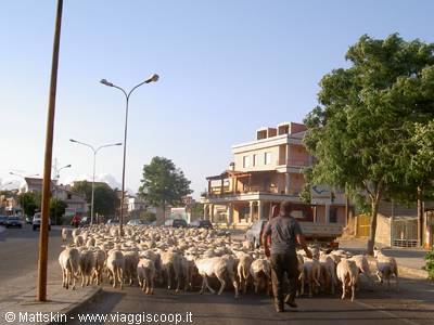 Nuoro