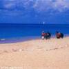 Blu caribe ANTIGUA E BARBUDA 
