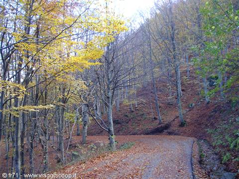 AUTUNNO