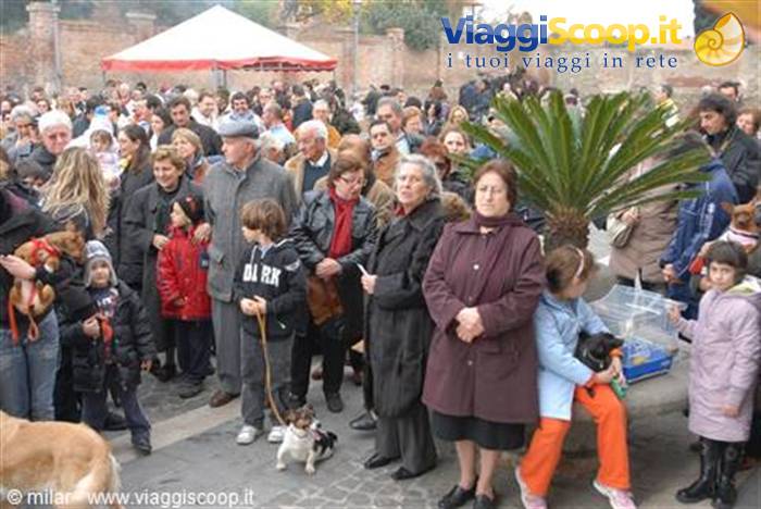 benedizione degli animali