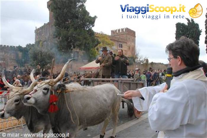 benedizione degli animali