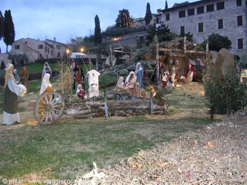 ASSISI