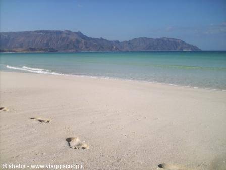 Yemen e Socotra: viaggio tra natura e magia