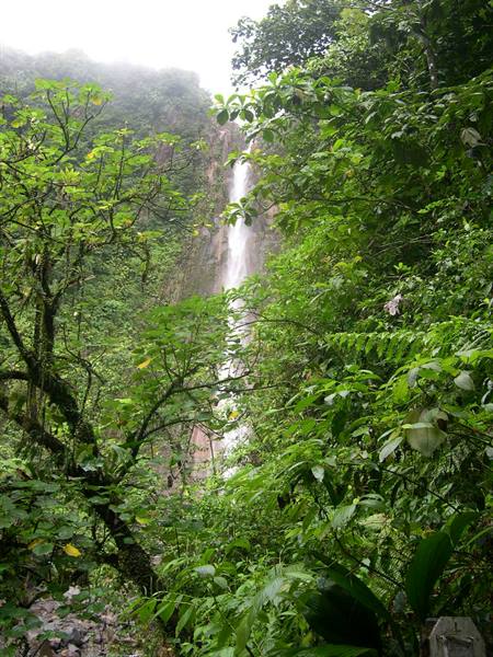 Deuxieme chute du Carbet