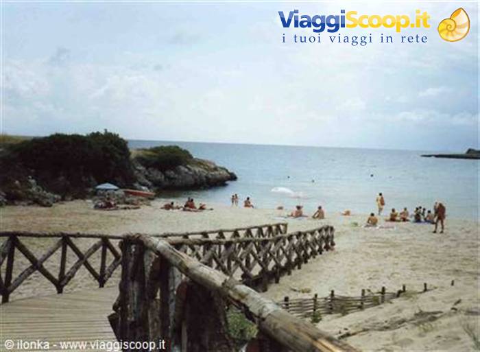 Spiaggia caraibica