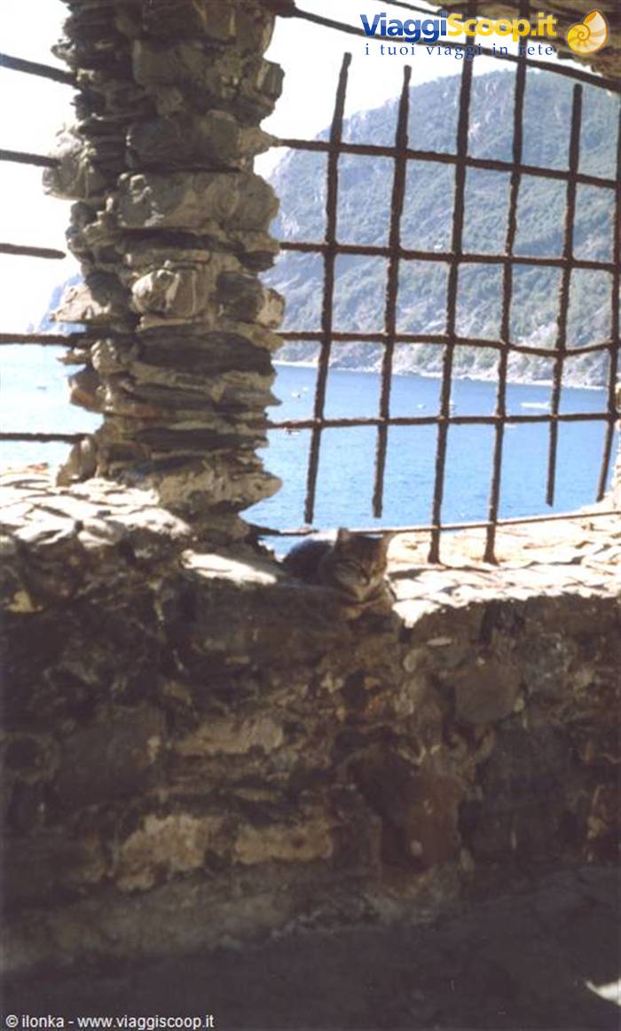 Foto di viaggio in ITALIA