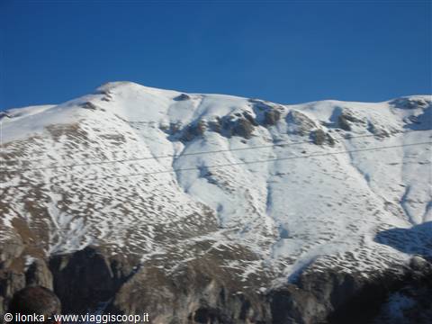 monte