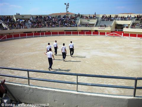 corrida camarguese