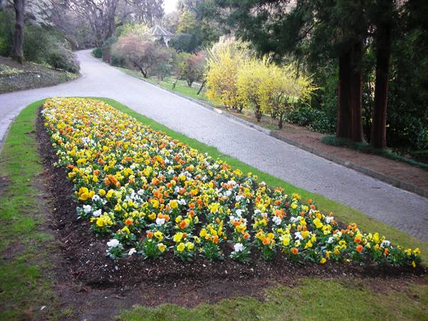 aiuole curatissime e colorate di fiori