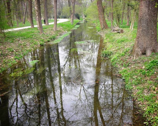 riflessi sul corso d'acqua nel parco del castello