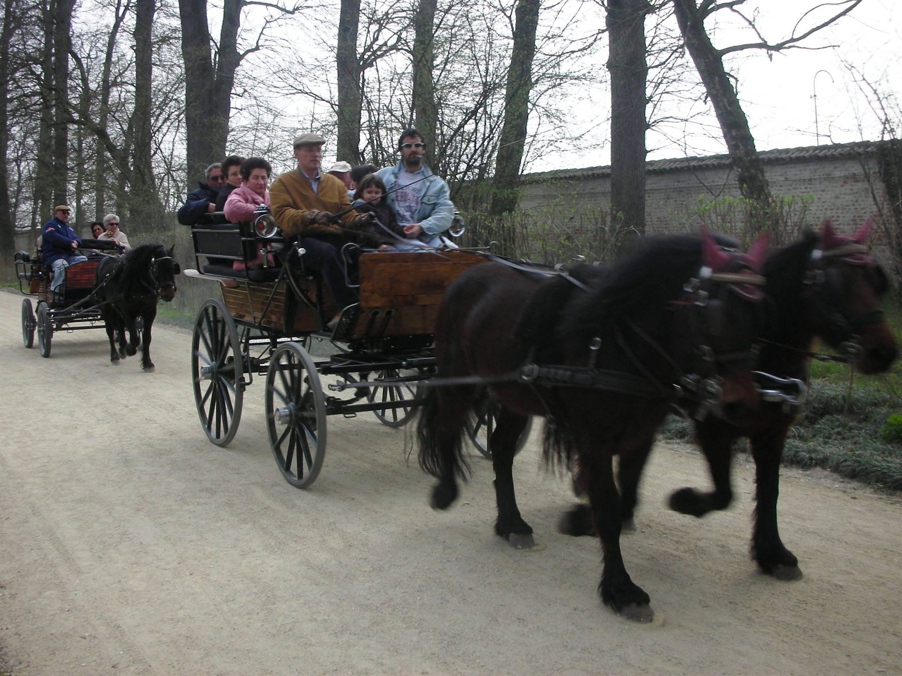 passeggiate in carrozza nel parco