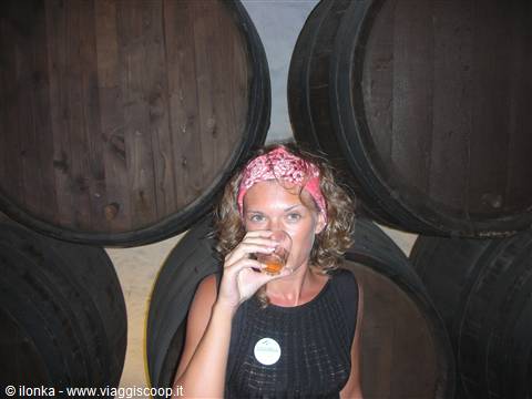 io a La Geria, cantina nei vigneti