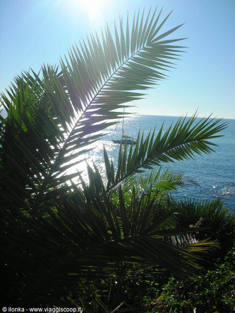 veduta mare - artistica