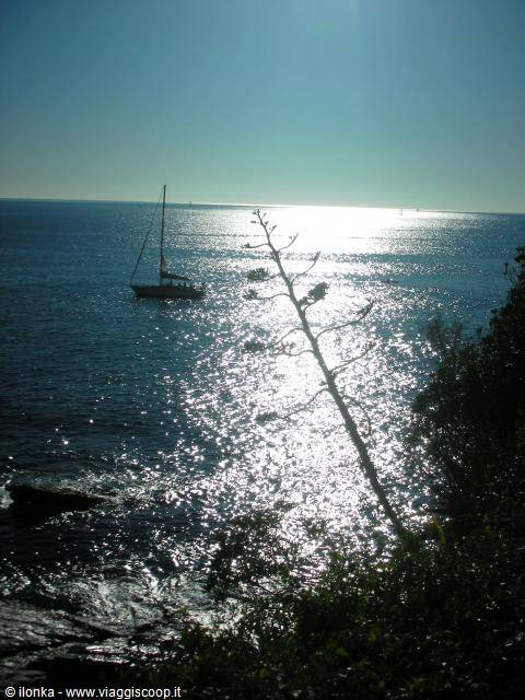 veduta mare a Nervi