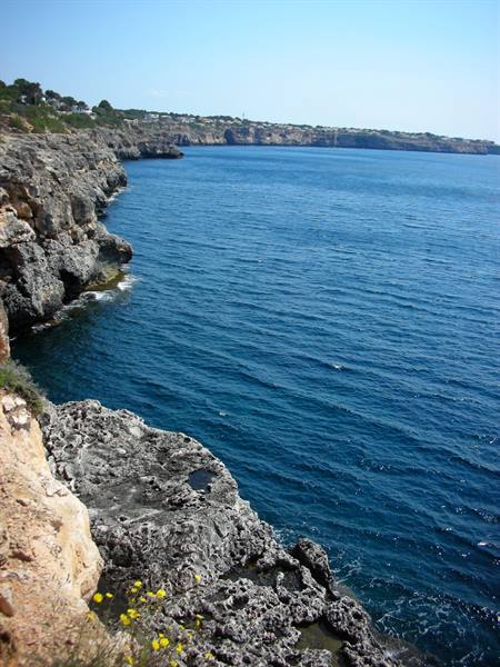 cala pi