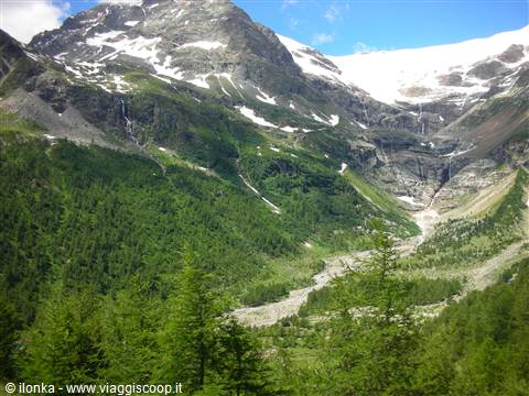 bernina