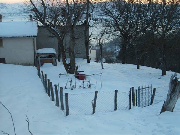 mascioni sotto la neve