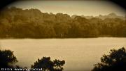 Amaya lac