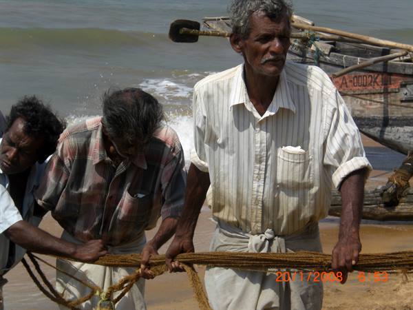 Pesca a traino 2