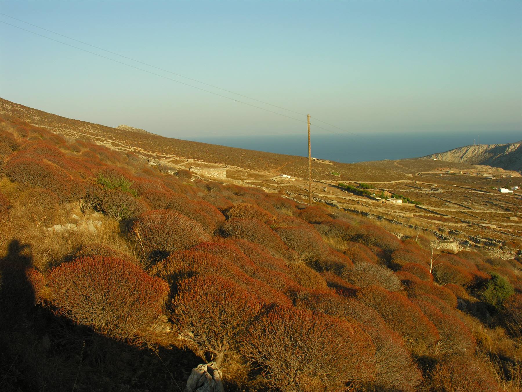 Chora - Verso il Santuario - Vista su Karovastis