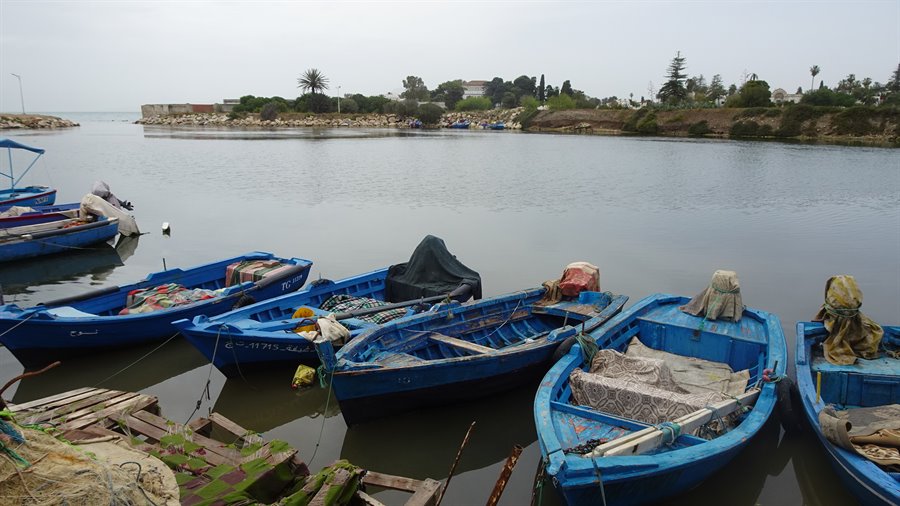 Cartagine - Porto Punico
