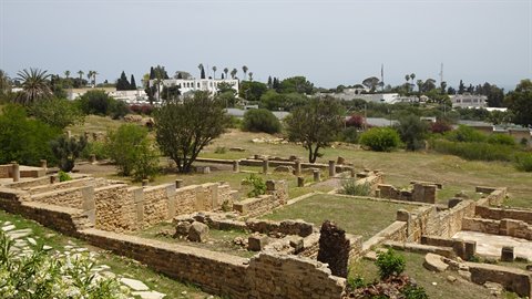 Cartagine - Parco delle Ville Romane