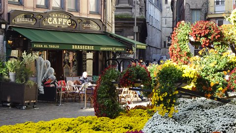 Caffè in fiore: un tè, un libro, e il tempo che rallenta.