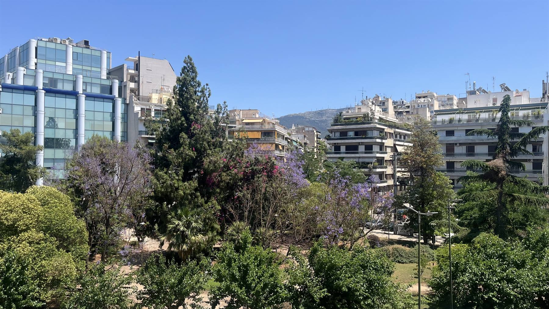 Atene dal balcone: cielo azzurro, montagne e alberi in fiore.